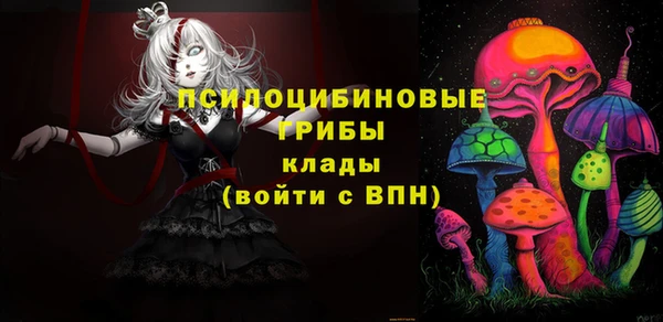 не бодяженный Семёнов
